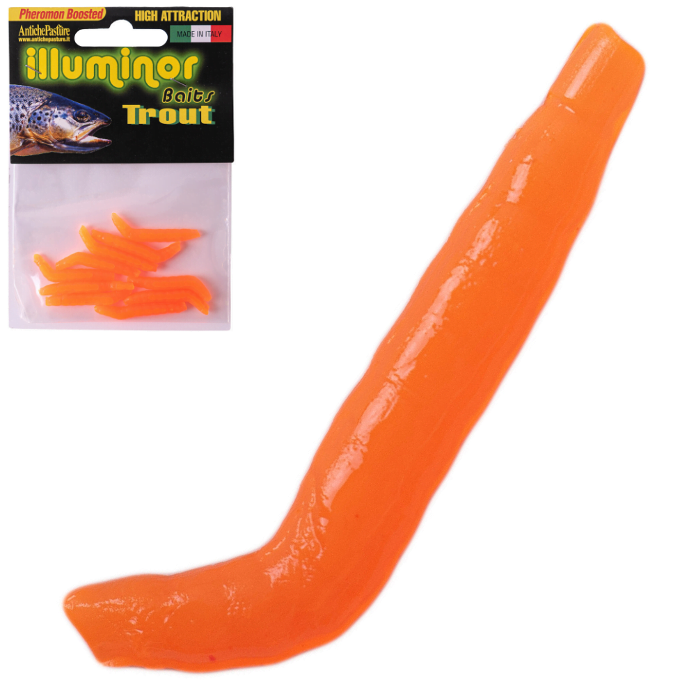 ANTICHE PASTURE Trout Scented Silicone Bait BRUCHET - Image 7