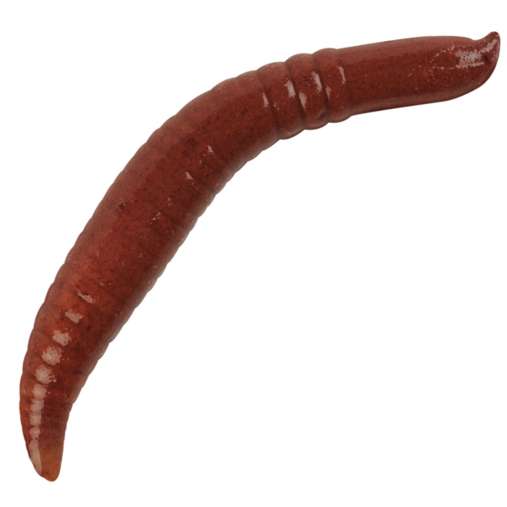 BERKLEY Gulp Scented Soft Bait Lure PINCHED CRAWLER 2”/5cm Nightcrawler - Image 2