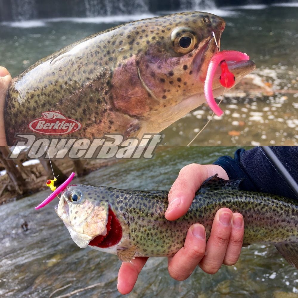 BERKLEY PowerBait Scented Soft Lure Floating Steelhead Worm 4inch Bubblegum - Image 3