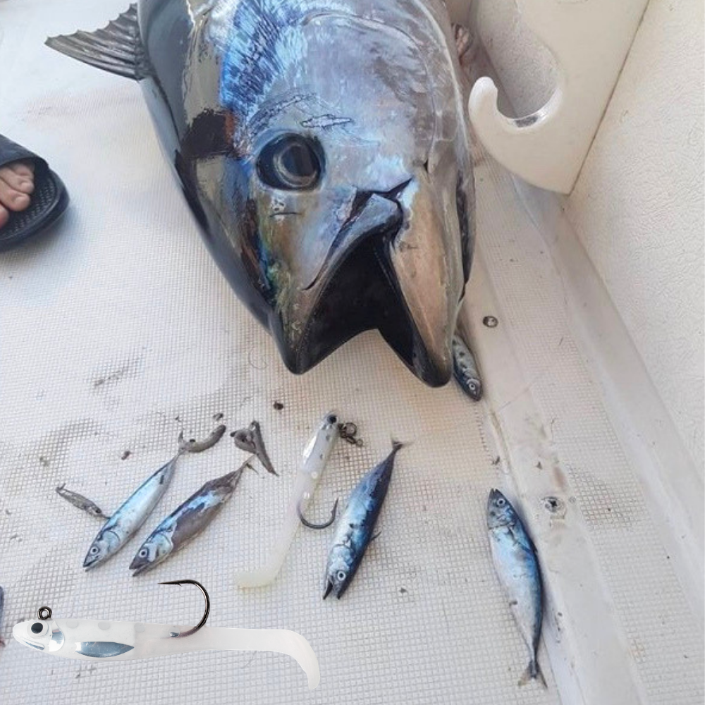 BERTOX Saltwater Casting Soft Shad Lure Natural SARDINE 13.5cm/90g - Image 2