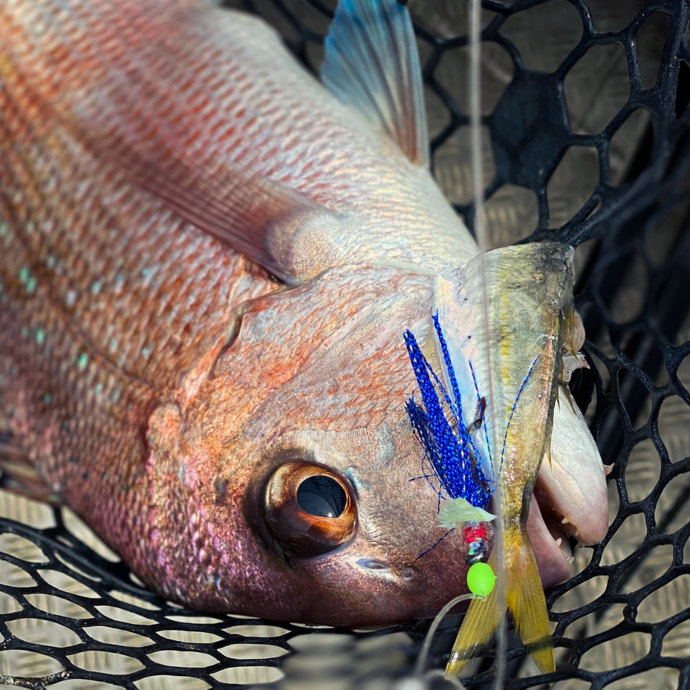 BKK Saltwater Bottom Fishing Rig HYPER FLASHER B2-1/0 Smokin’ Salmon - Image 4