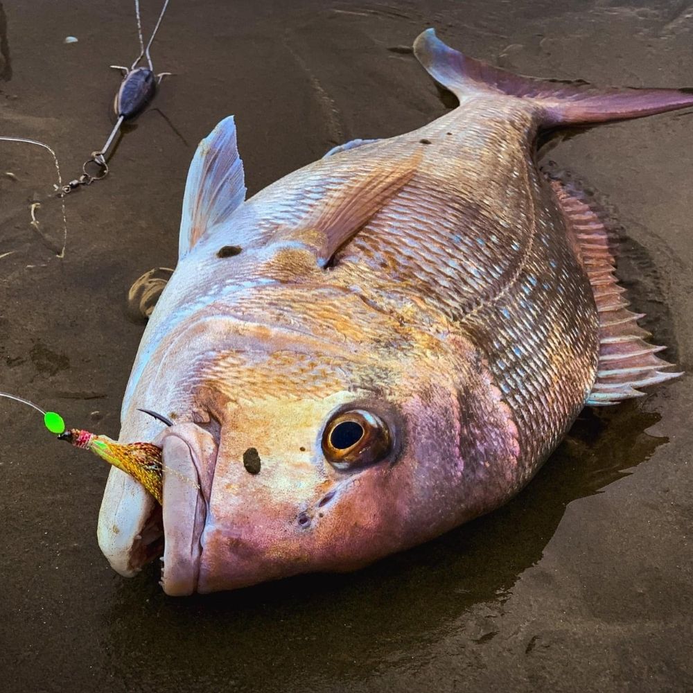 BKK Saltwater Bottom Fishing Rig HYPER FLASHER B2-1/0 Smokin’ Salmon - Image 5