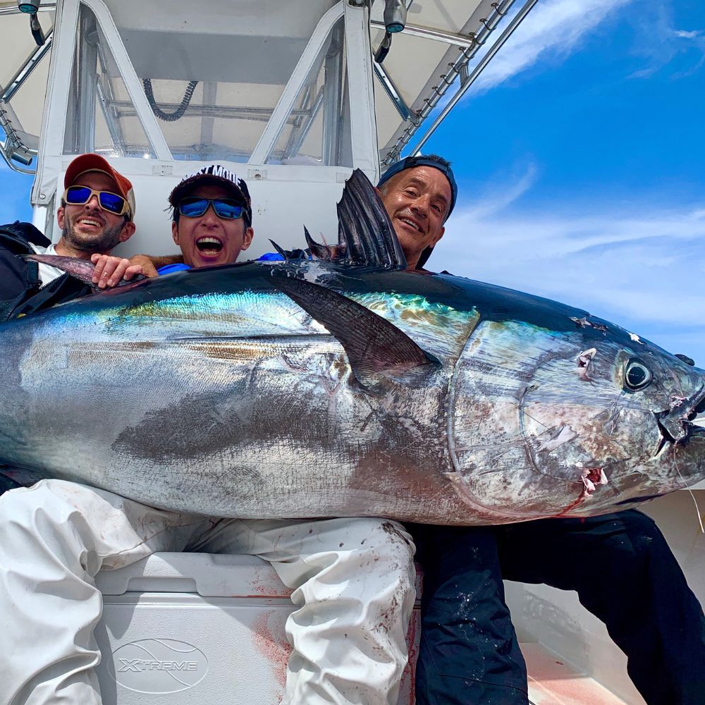 BKK Tournament Legal Non Offset Hook MONSTER CIRCLE - Image 7