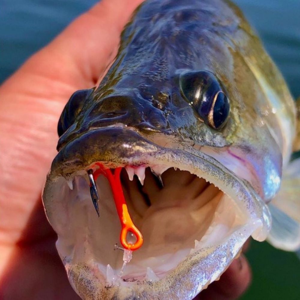BKK Freshwater Fishing Orange UV Coated Treble Lure Hook SPEAR-21 UVO - Image 8