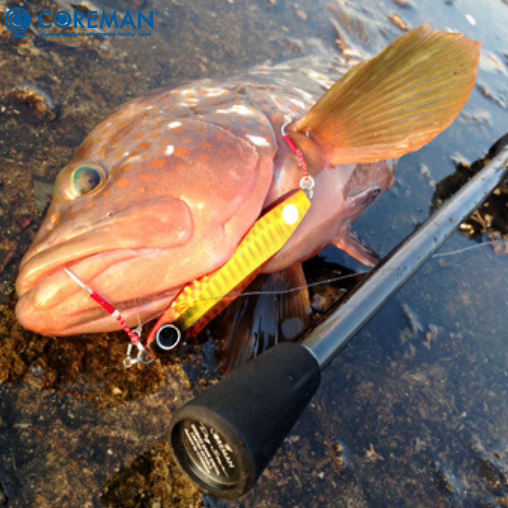 COREMAN Saltwater Casting Metal Jig Lure ZETTAI 30g #004 - Image 4