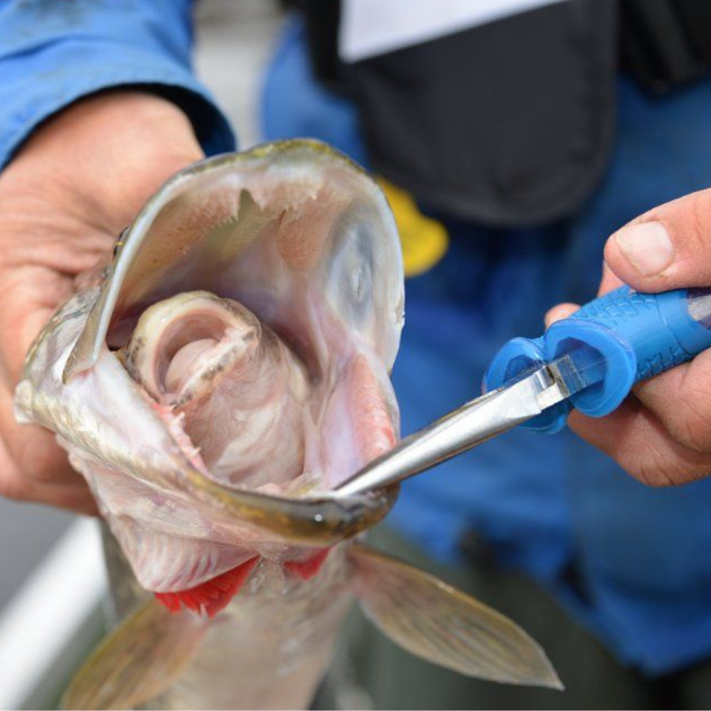 CUDA Fishing Tool Titanium Bonded Needle Nose PLIERS 8.75” | Maguro Pro Shop