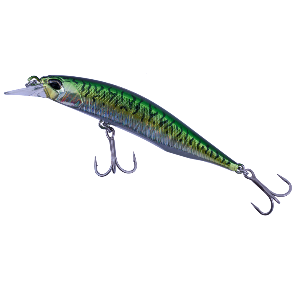 Green Mackerel