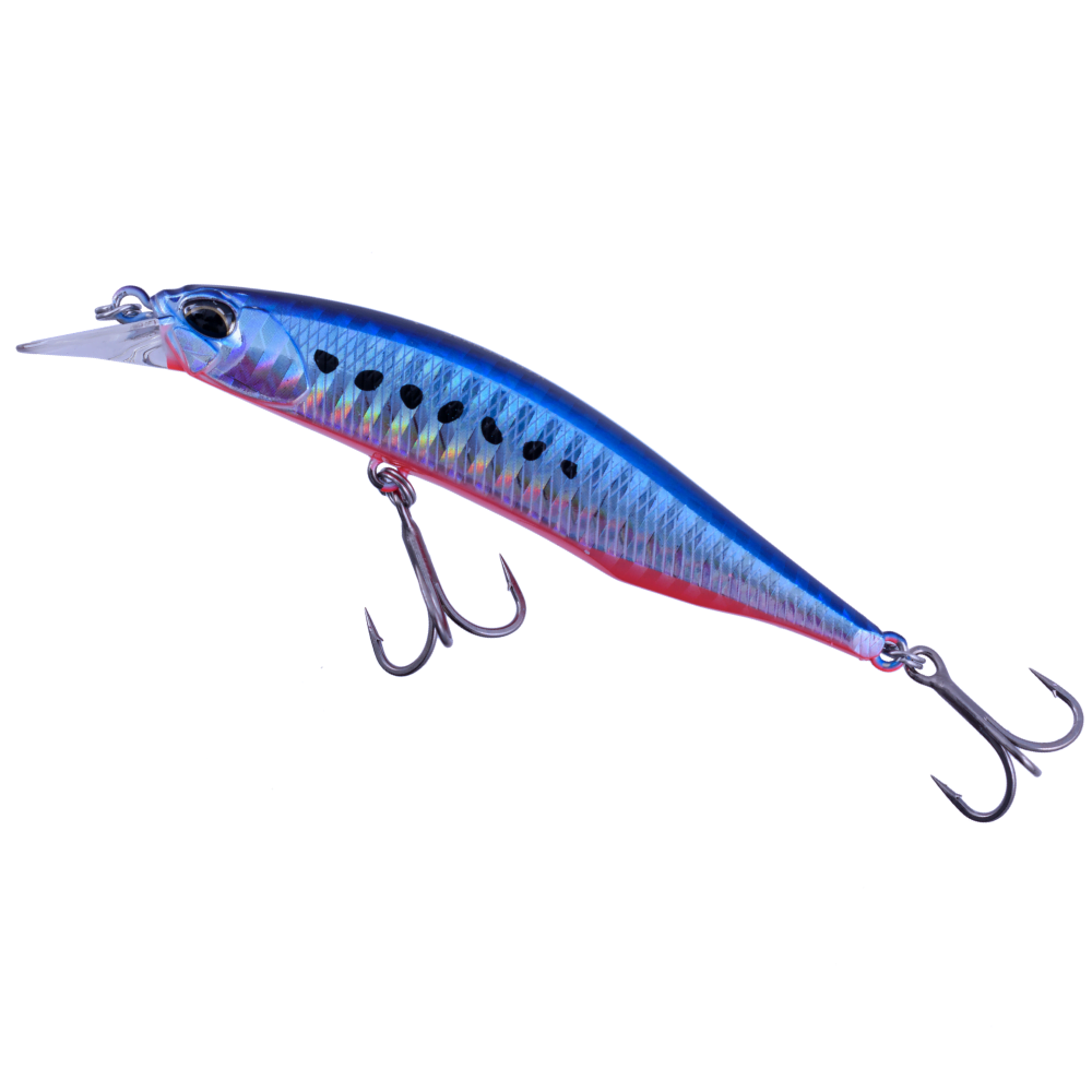 Mazume Sardine