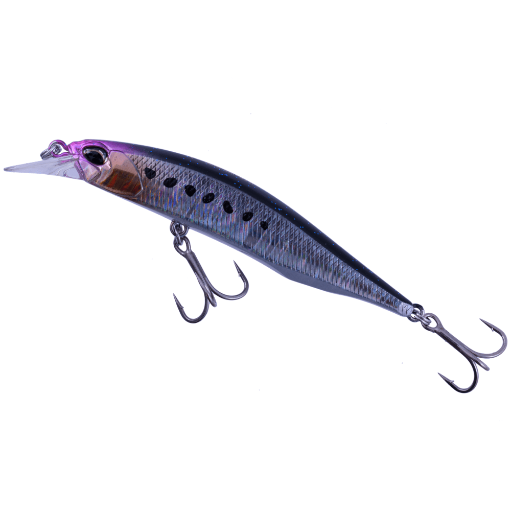 Space Back Sardine
