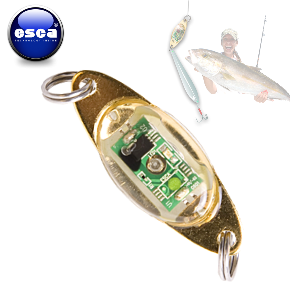 ESCA Batteryless Fishing Strike Enticer Light Attractor - Image 2