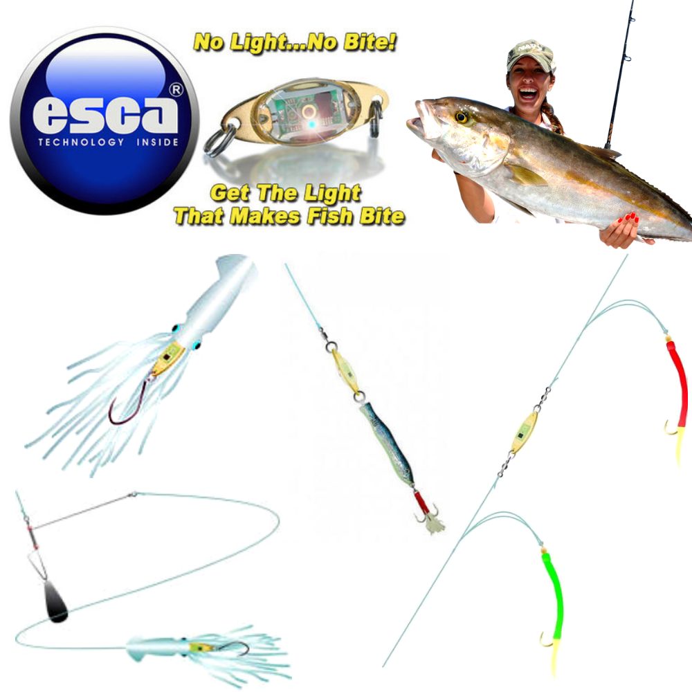 ESCA Batteryless Fishing Strike Enticer Light Attractor - Image 7