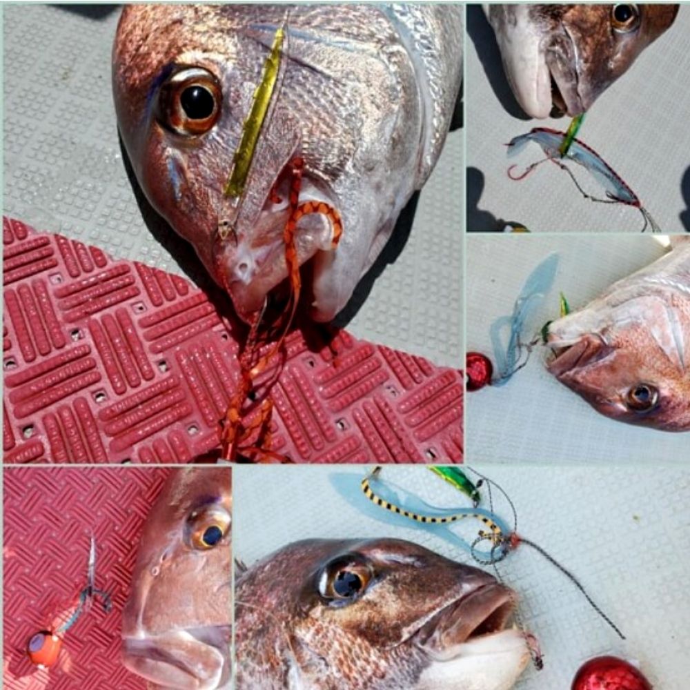 FISH ARROW Rubber Jigging Assist Soft Lure Flash-J SHIRASU 3’SW - Image 10