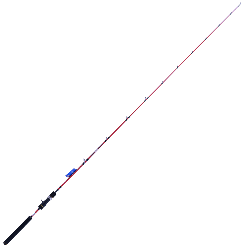 X-PARAGON Ryobi Salatwater Light Jigging Baitcasting Rod FUEGO XP LJ200 - Image 3