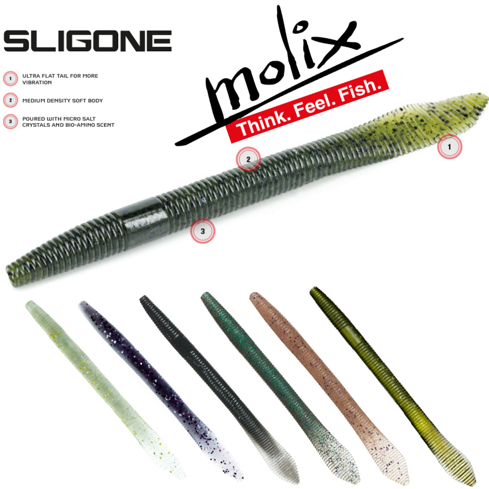 MOLIX Bass Fishing Soft Plastic Worm Lure SLIGONE 5'5"