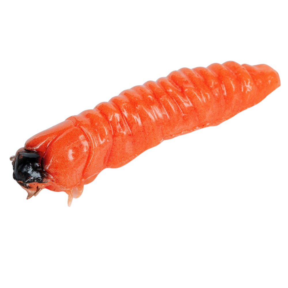 MOLIX Trout Fishing Soft Bait Lure CAIMANO WORM 1.5 - Image 7
