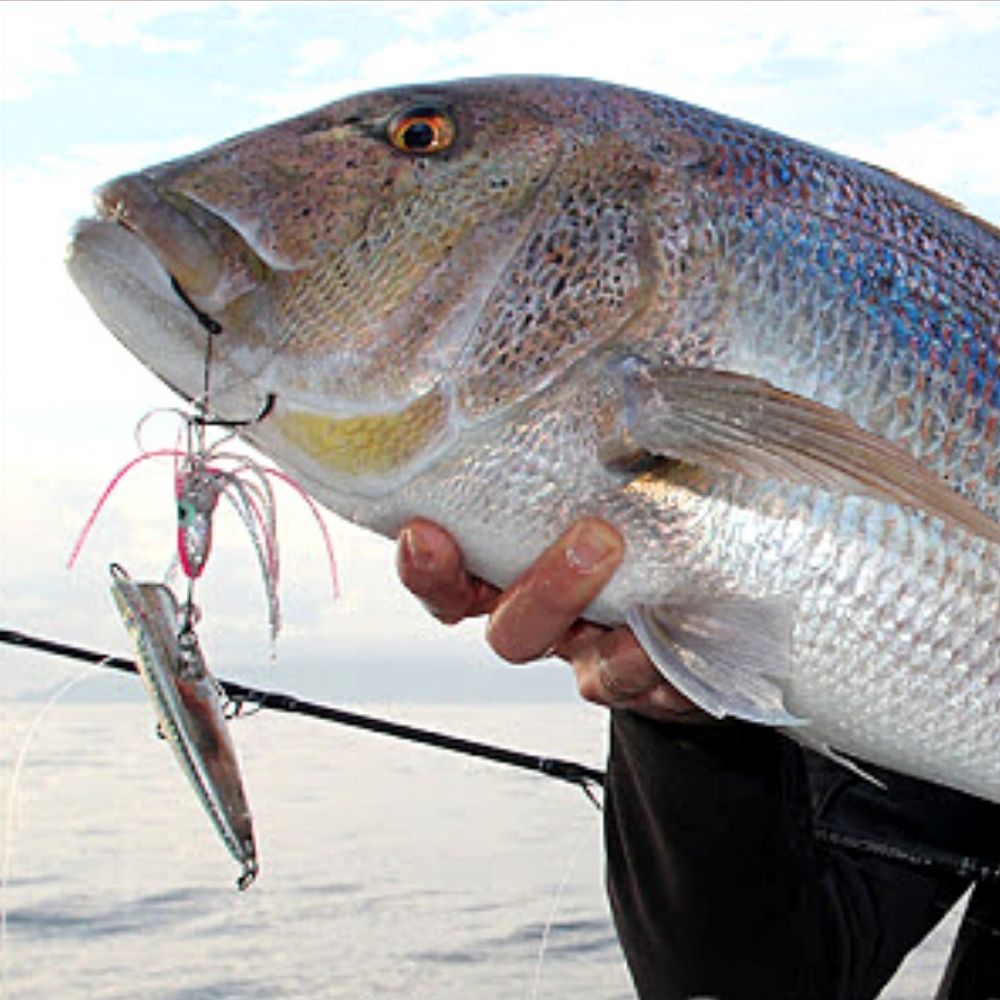 HART Saltwater Rubber Jigging Special Lure Inchiku 30-06 150g - Image 6