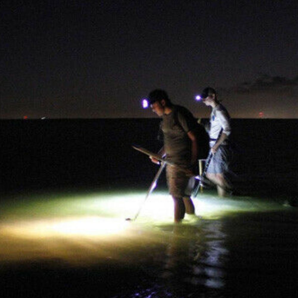 HYDRO GLOW Shallow Water Search LED Light Stick WADE MASTER - Image 5
