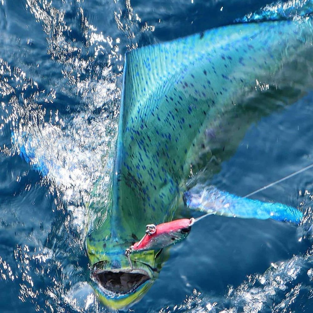 JACK FIN Saltwater Offshore Casting Stick Bait Lure PELAGUS 90-S - Image 17