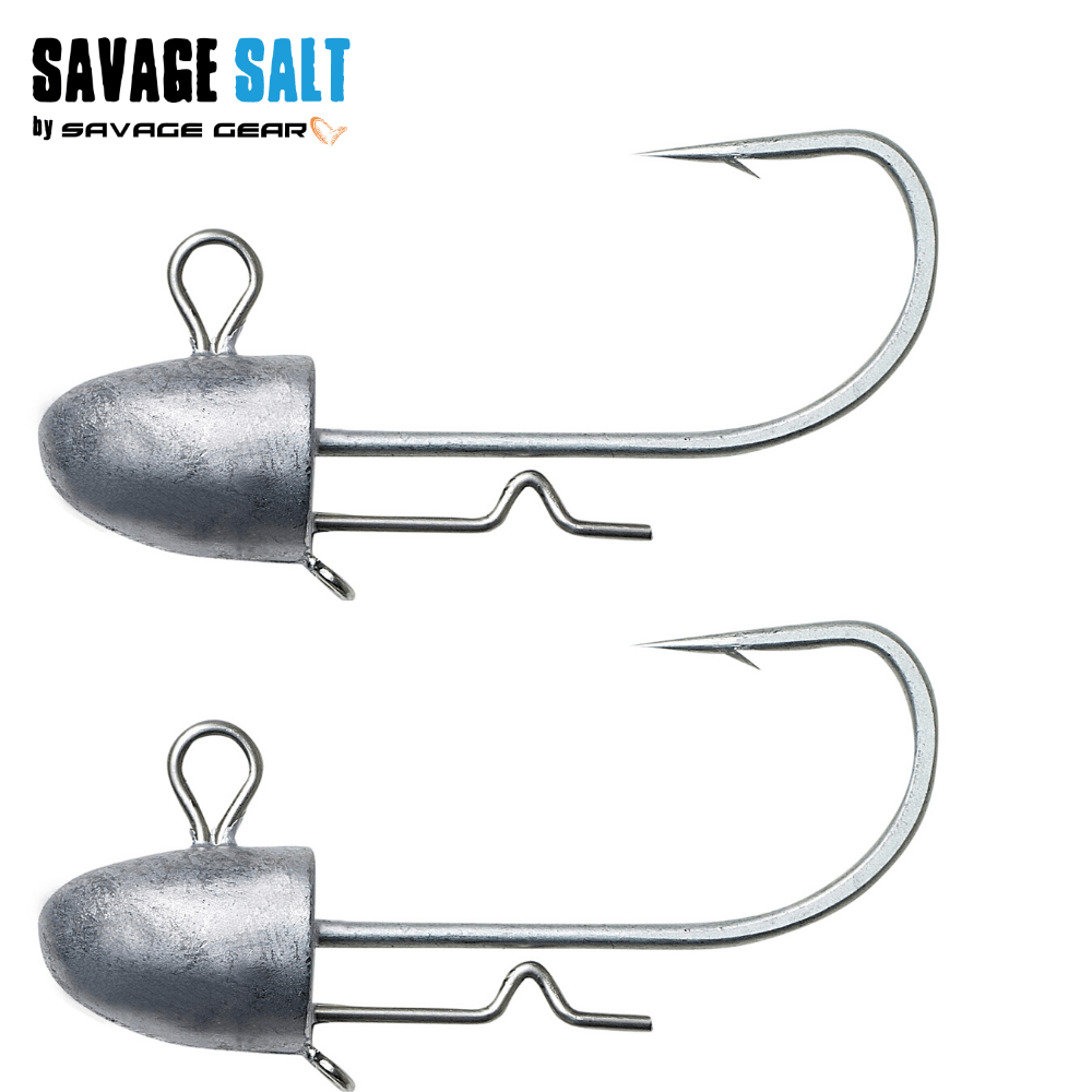 SAVAGE GEAR 2 x Jig Head Bullet 25g