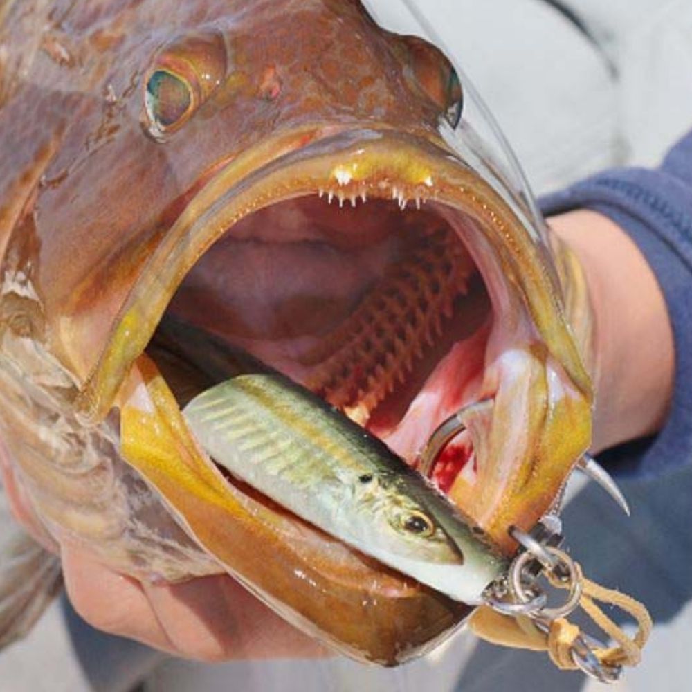 JIGSKINZ Fishing Lure Shrinkable Cover Wrap Live Bait CIGAR MINNOW 3pcs - Image 9