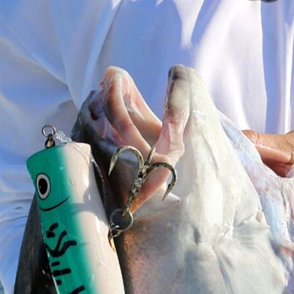 JIGSKINZ Fishing Lure Shrinkable Cover Wrap GREEN MACKEREL 3pcs - Image 6