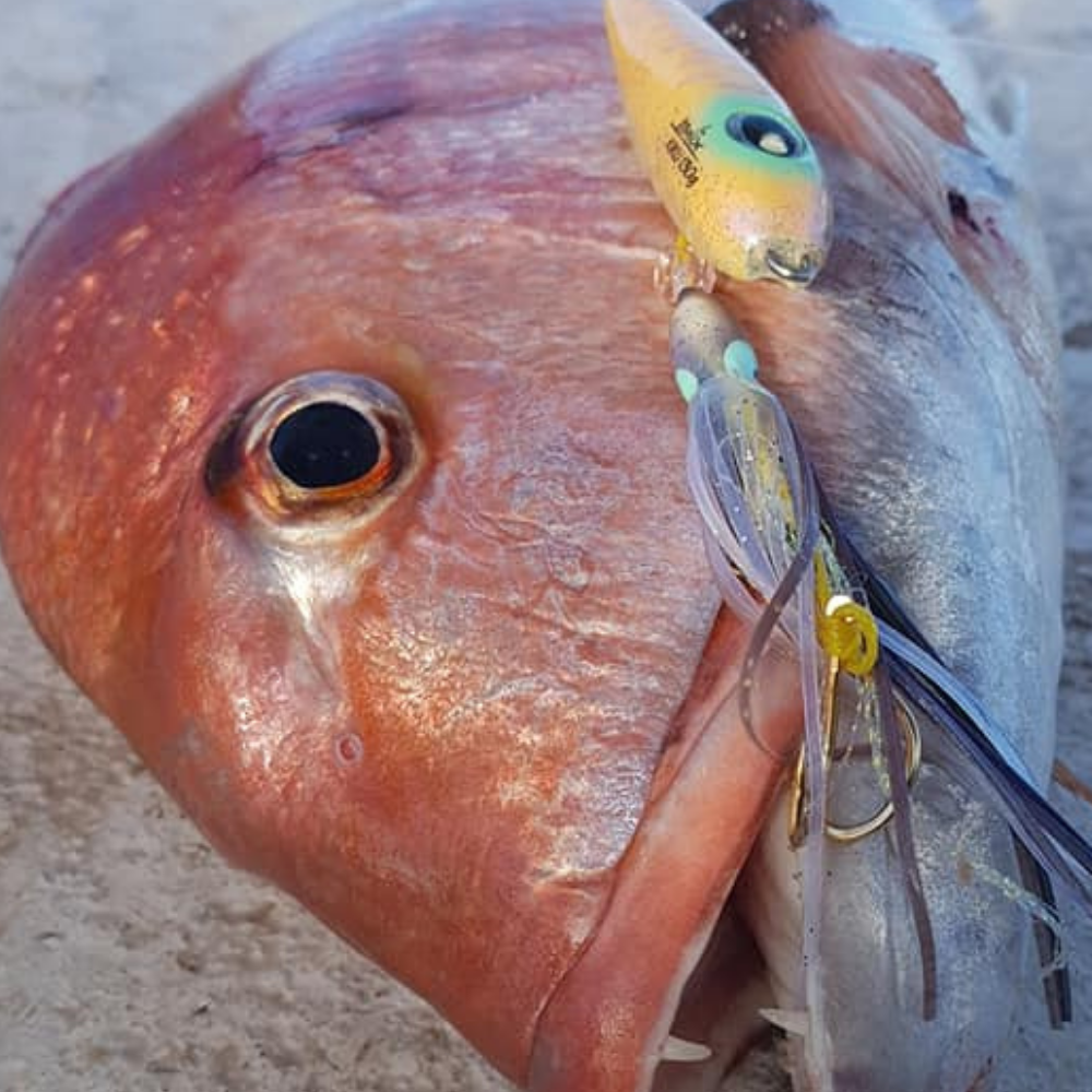 MOLIX Premium Rubber Jigging Lure Inchiku KIKU EVO 160g - Image 4