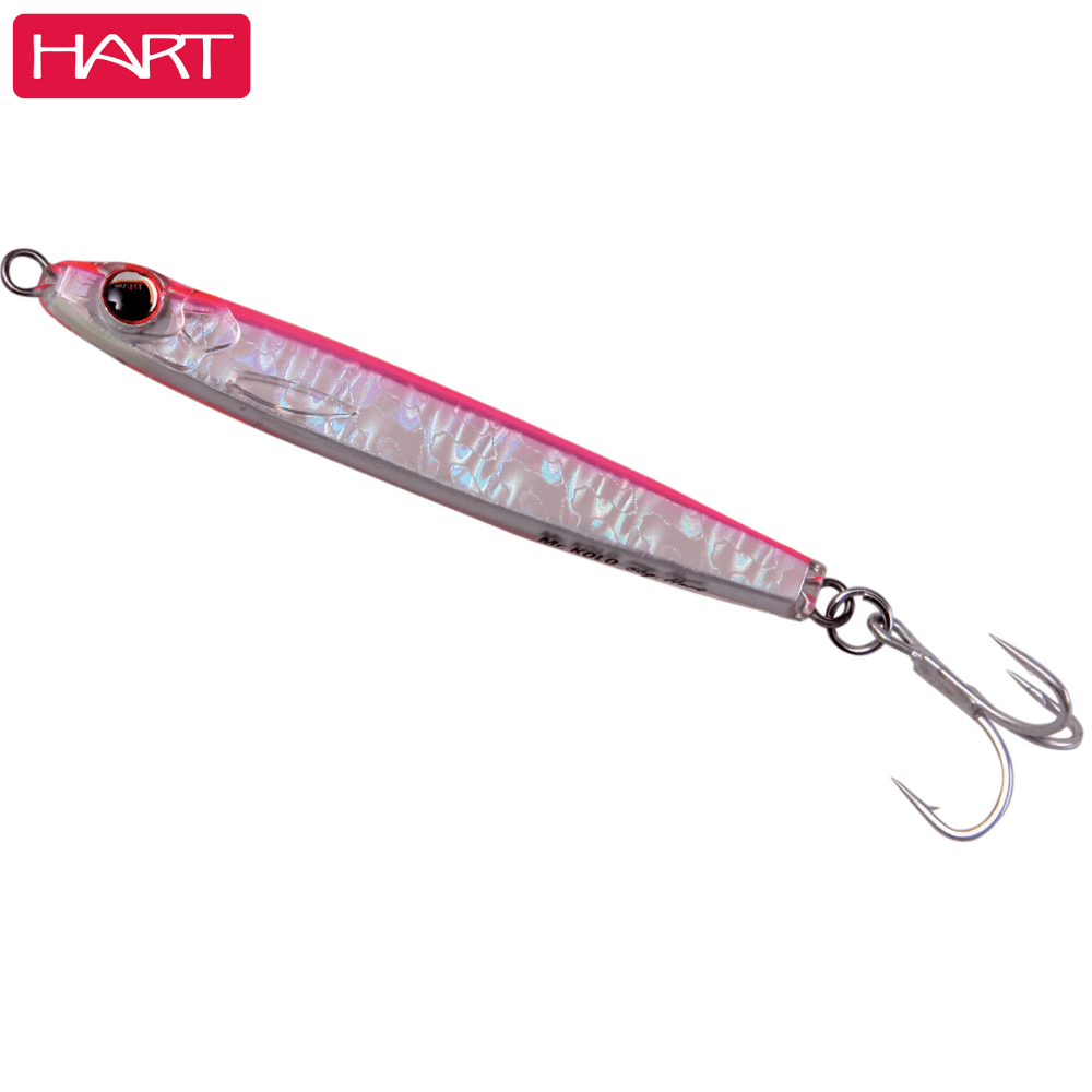 HART Saltwater Casting Resin Injected Casting Jig Lure MR KOLO 56g/#02