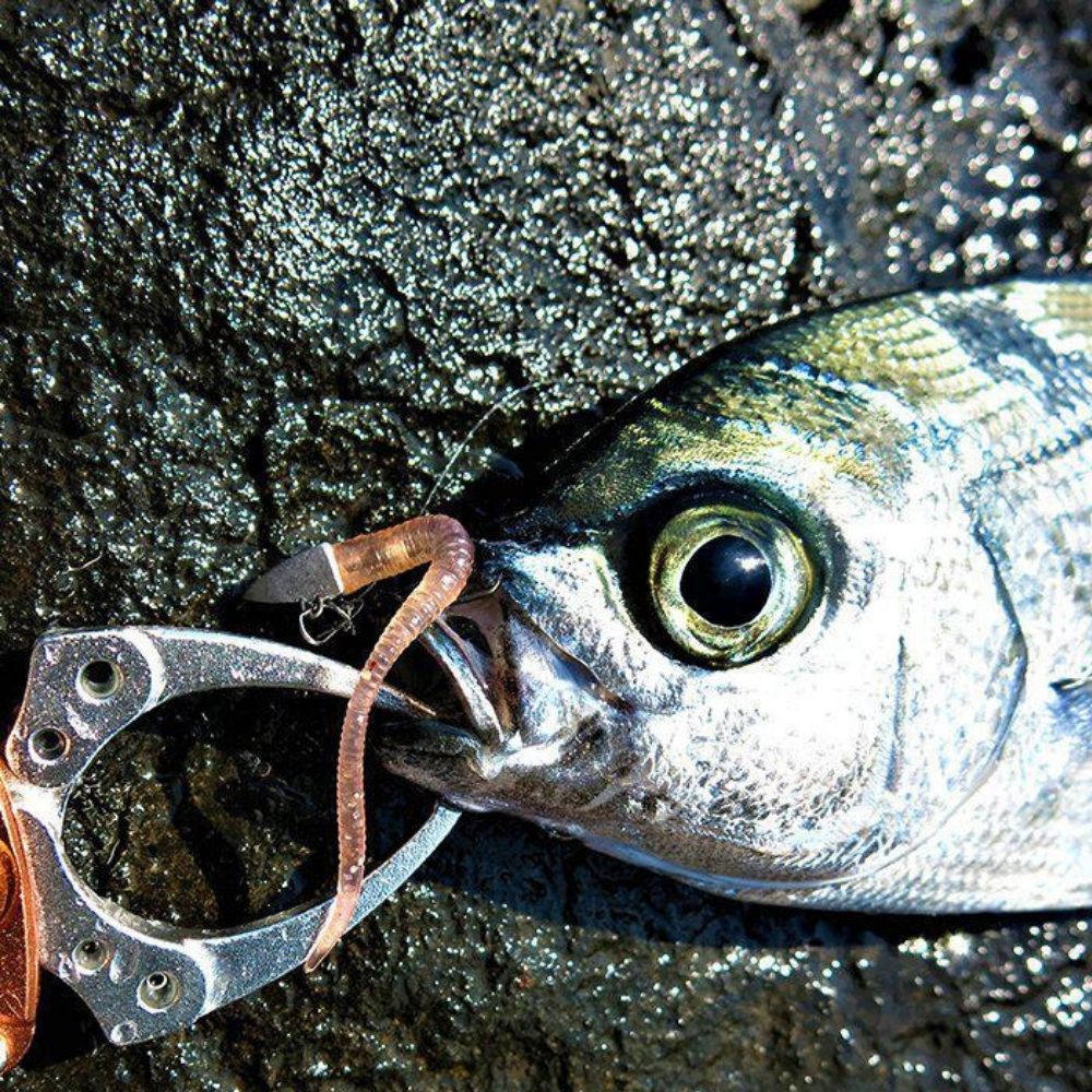 MAJOR CRAFT UL Fishing Jig Head Jigpara DART Type - Image 4