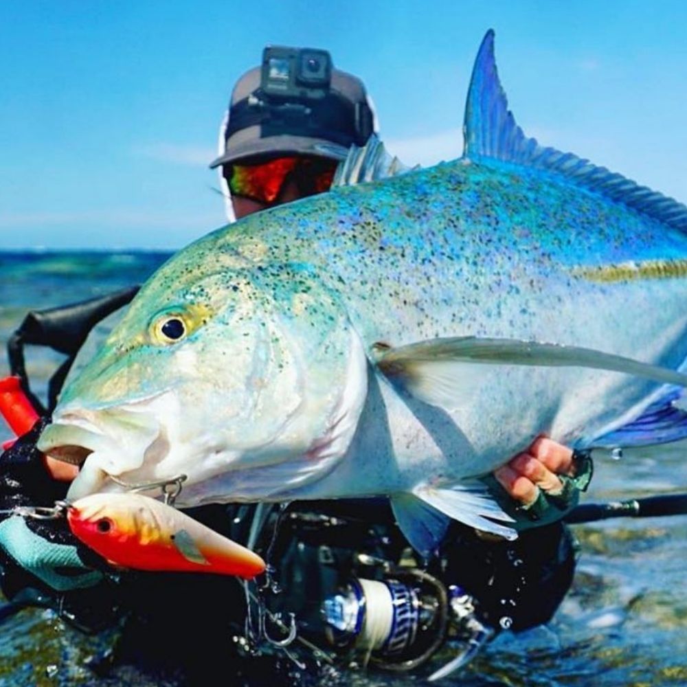 MOLIX Fioretto Saltwater Offshore Spinning Rod Speciale POPPING 170 - Image 11