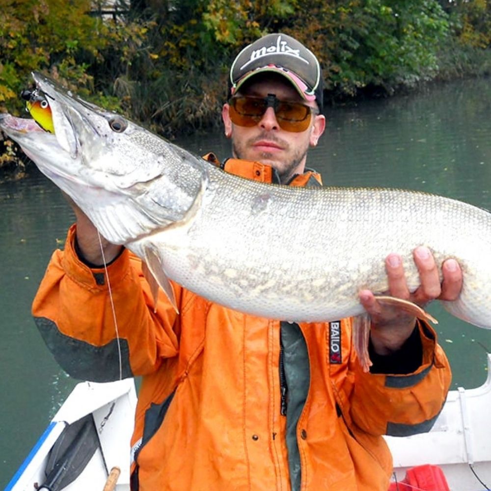 MOLIX Jointed Soft Swimbait Lure PIKE SHAD 7.5”/100g - Image 8