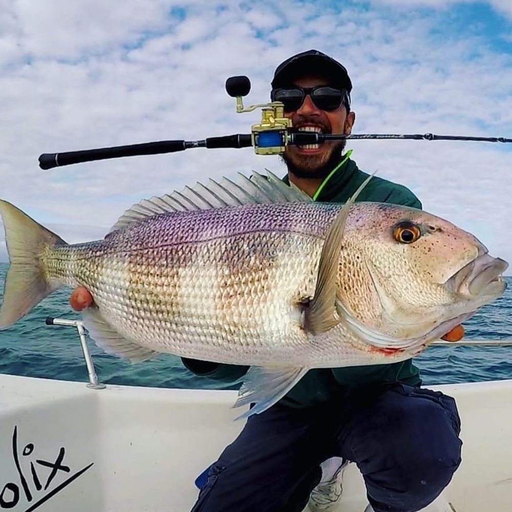 MOLIX Saltwater Baitcasting Slow Jigging Rod FIORETTO Speciale MFS-SW-65SP - Image 6