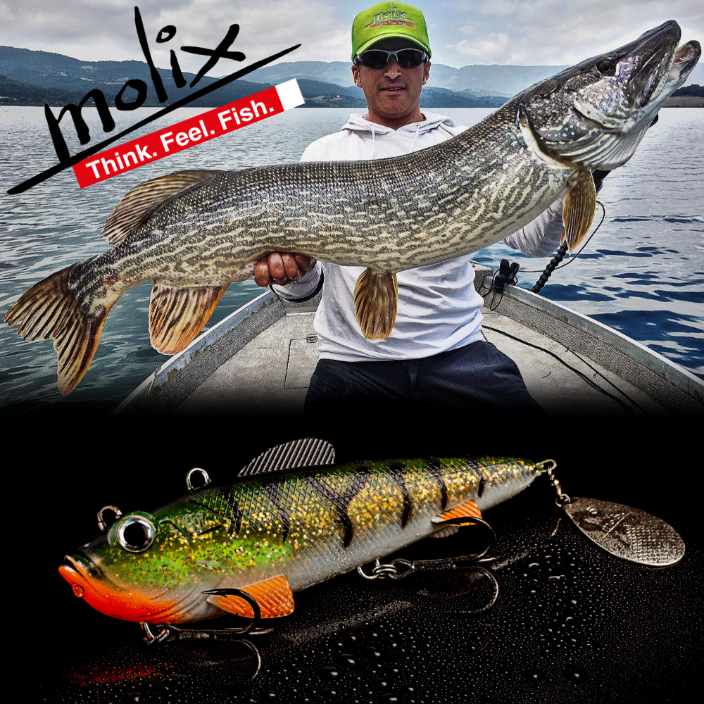 MOLIX Pike & Catfish Fishing Soft Bait Lure Spin Shad 160 - Image 3