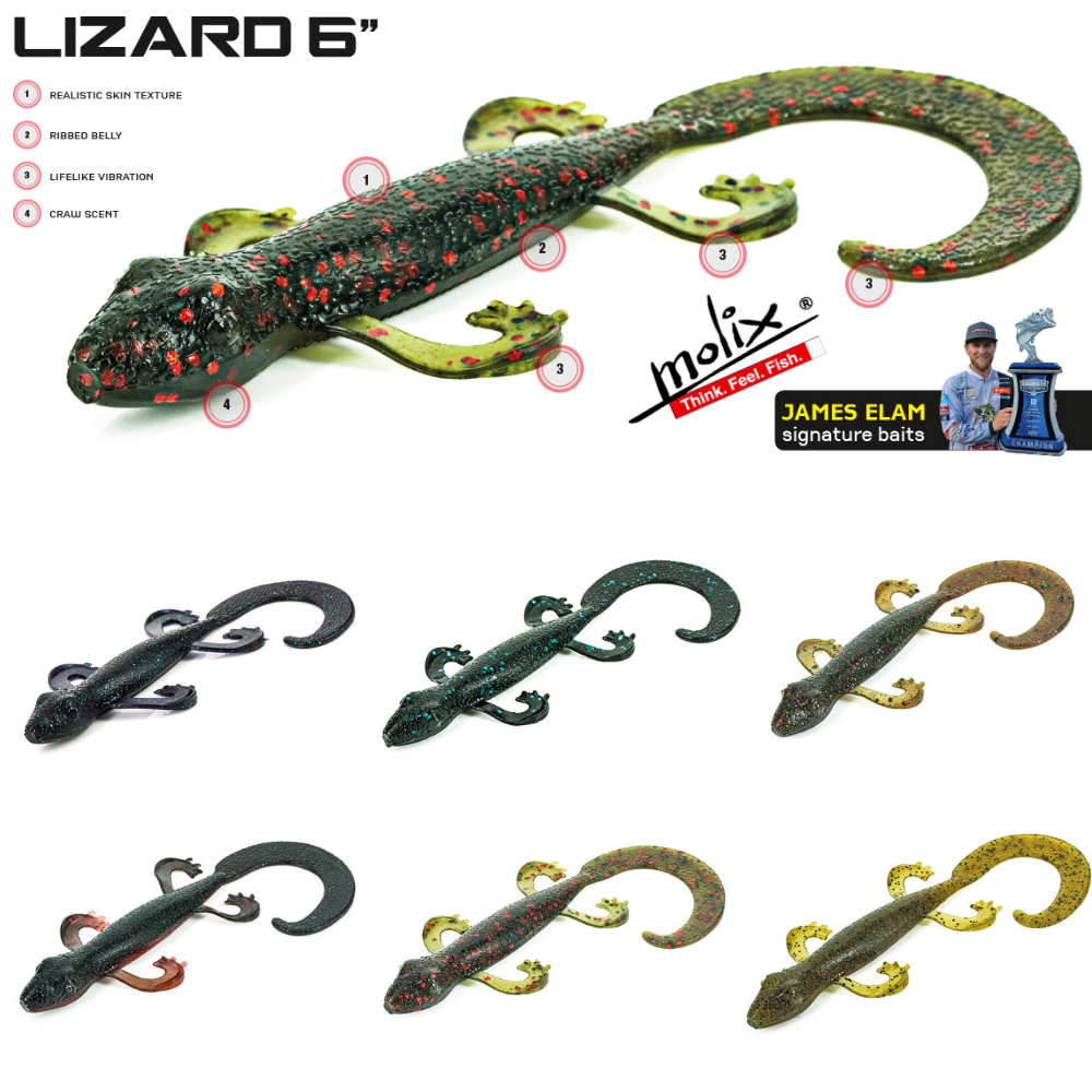 MOLIX James Elam Signature Bass Fishing Soft Bait Lure LIZARD 6”
