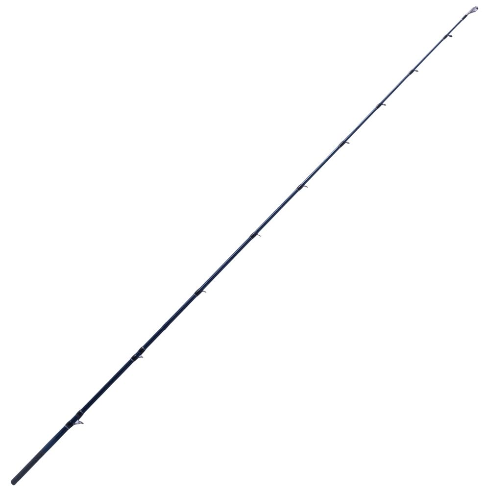 NS BLACK HOLE Saltwater Baitcasting Boat Fishing Rod HURRICANE KR 100-195 - Image 3