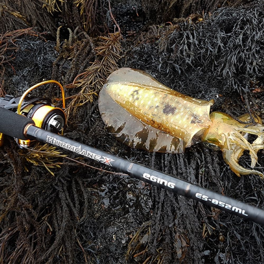 NS BLACK HOLE Squid Fishing Spinning Rod Hurricane-X EGING ES-852ML - Image 8