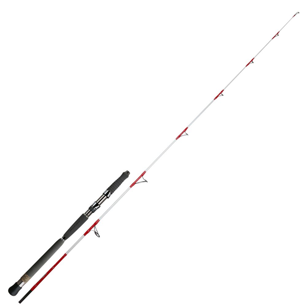 NS BLACK HOLE Saltwater Boat Fishing Spinning Rod MAGIC EYE - Image 3