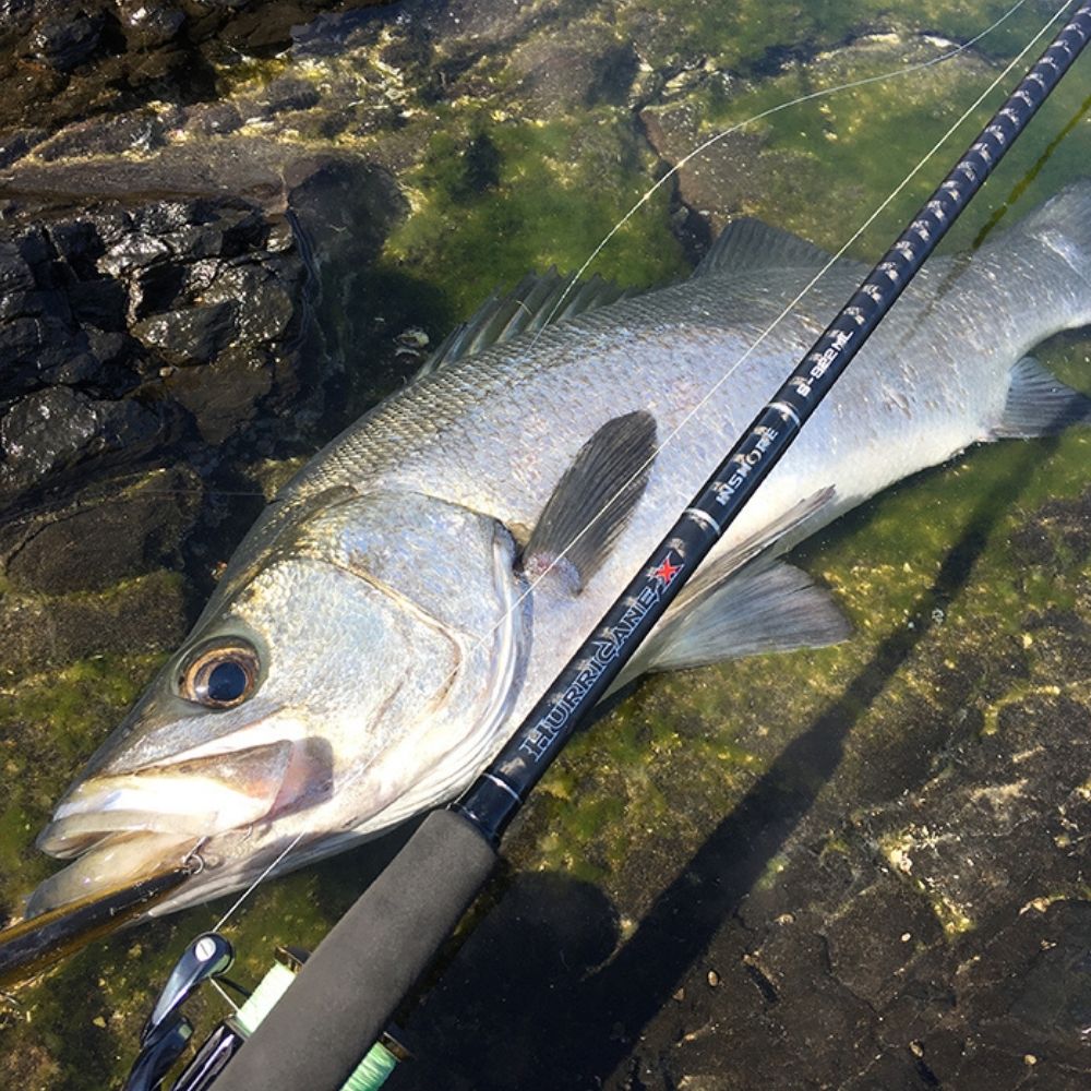 NS BLACK HOLE Saltwater Spinning Rod HURRICANE-X INSHORE - Image 13