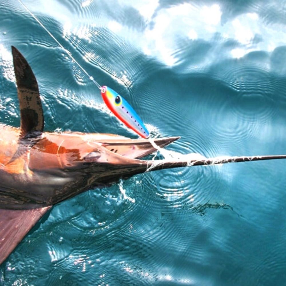 SFT Offshore Fishing Hookless Pencil Lure FEIYU SAILFISH 170F - Image 9