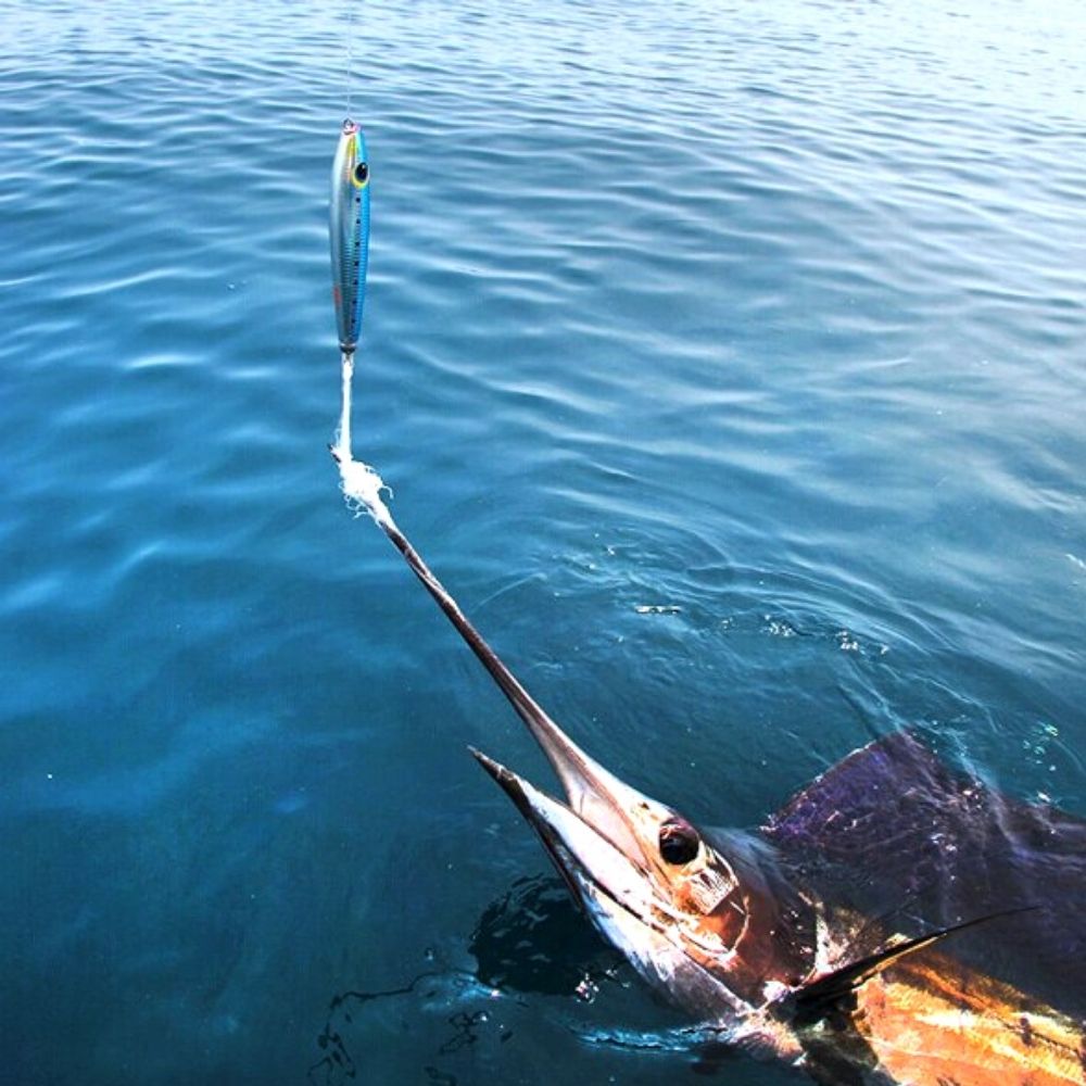 SFT Offshore Fishing Hookless Pencil Lure FEIYU SAILFISH 170F - Image 10