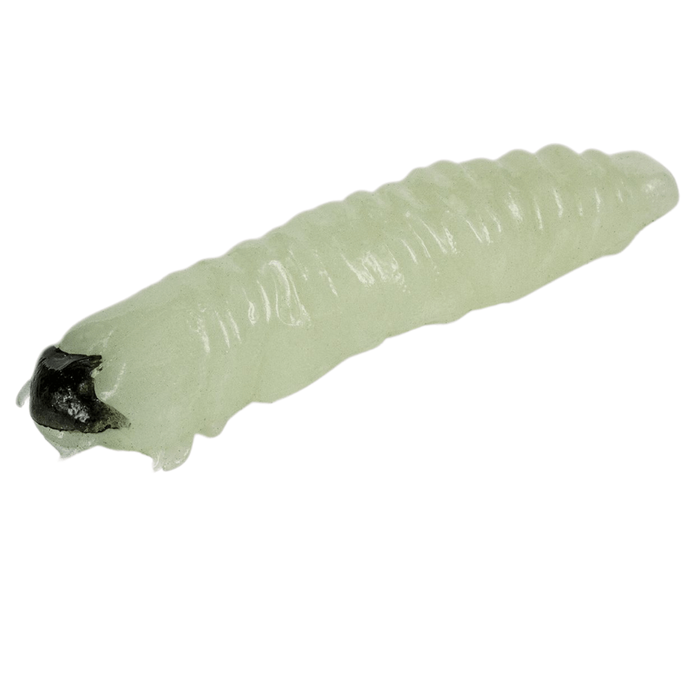 MOLIX Trout Fishing Soft Bait Lure CAIMANO WORM 1.5 - Image 8