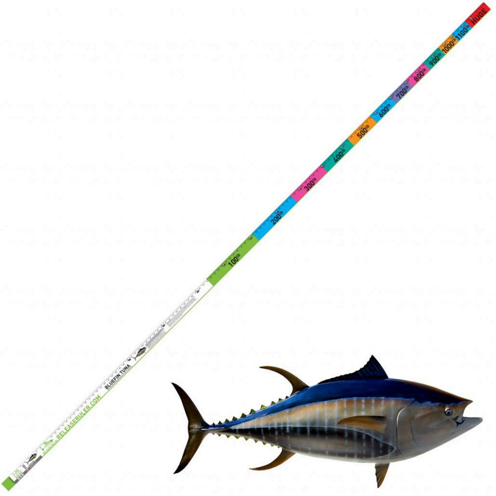 RELEASE RULER Measuring Tape Tool Bluefin Tuna Ruler Metric - Image 4