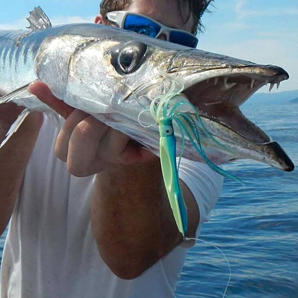 WAVES Saltwater Light And Shore Jigging Lure DYNASQUID 65g - Image 3
