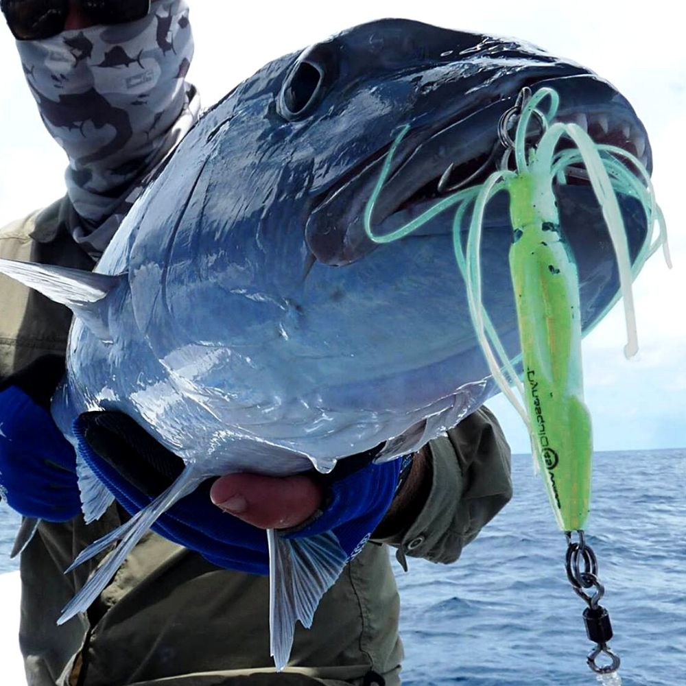 WAVES Saltwater Light And Shore Jigging Lure DYNASQUID 65g - Image 2