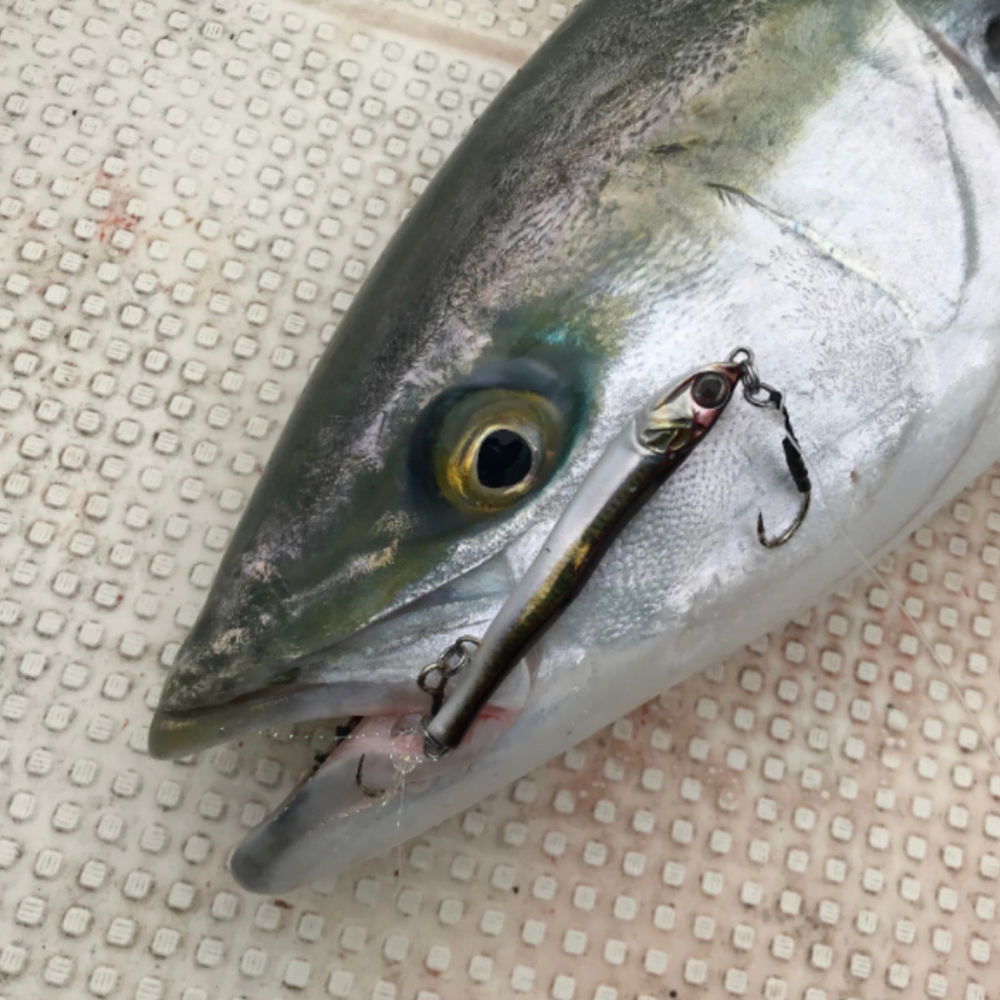 LITTLE JACK Saltwater Realistic Jig Lure METAL ADICT Type 03 16g - Image 14