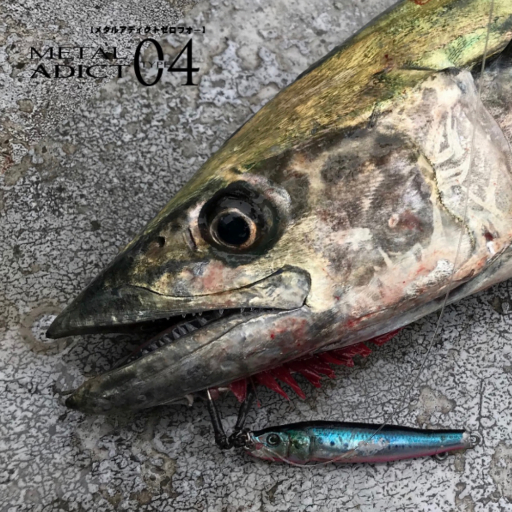 LITTLE JACK Saltwater Realistic Jig Lure METAL ADICT Type 04 30g - Image 15