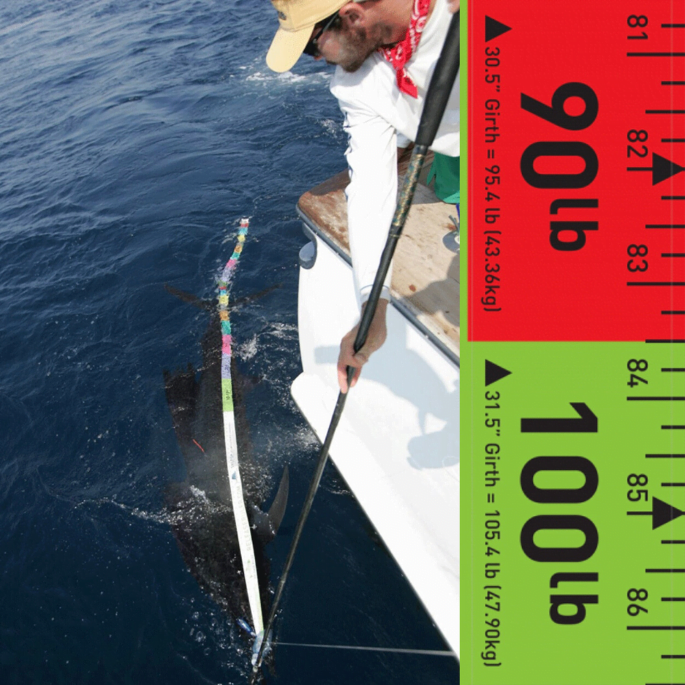 RELEASE RULER Measuring Tape Sailfish Release Ruler Inch/Lb - Image 2