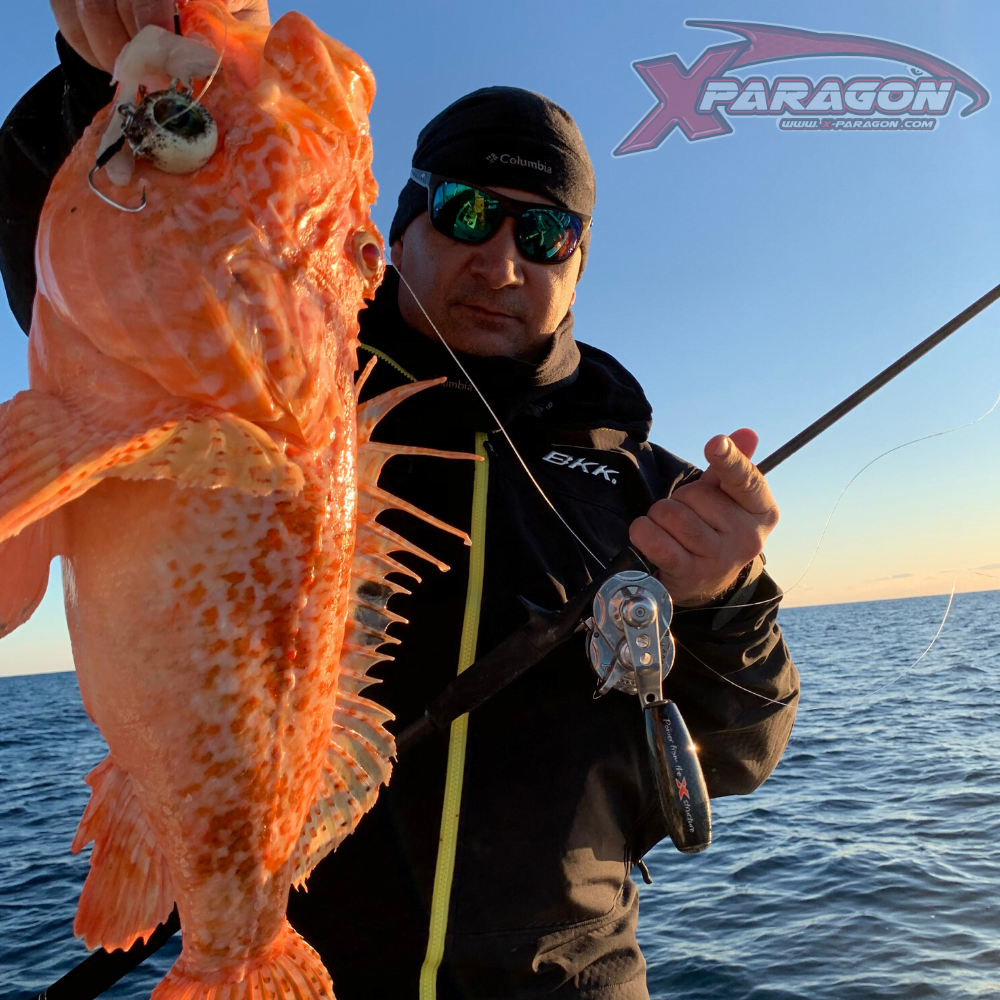 X-PARAGON Saltwater Jig Head Lure ZOKA BALL Slim Glow Extra Power 100g - Image 2
