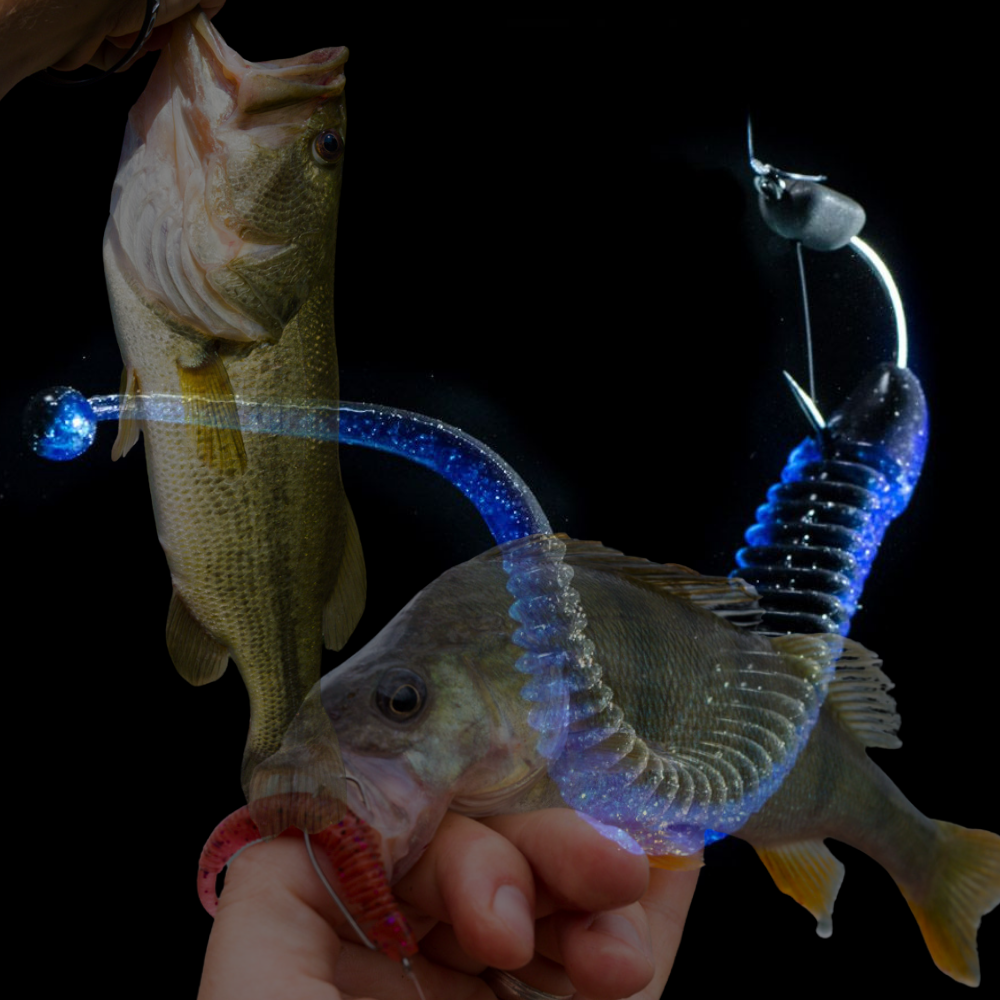 MOLIX Finesse Scented Soft Bait Lure SATOR WORM 2.5 - Image 2