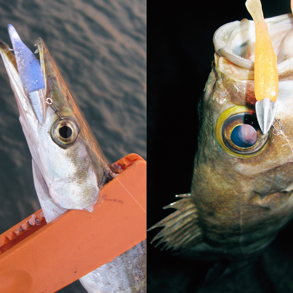 DECOY Saltwater Jighead With Keaper DELTA Magic SV-51 - Image 5
