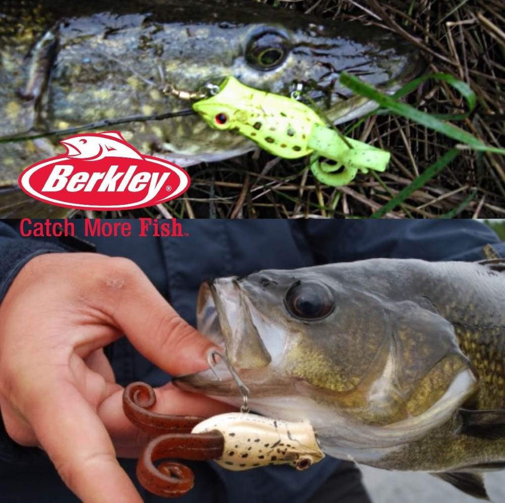 BERKLEY PowerBait Topwater Popper Lure Frenzy Pop FROG 6cm/10g - Image 2